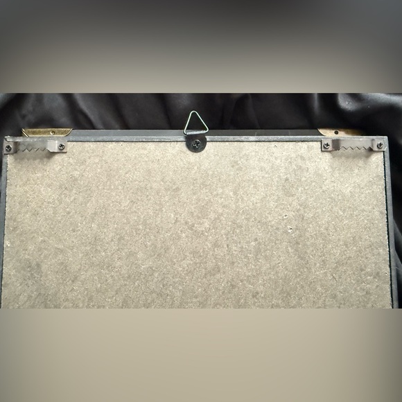 Insect Shadow Box - Picture 3 of 6